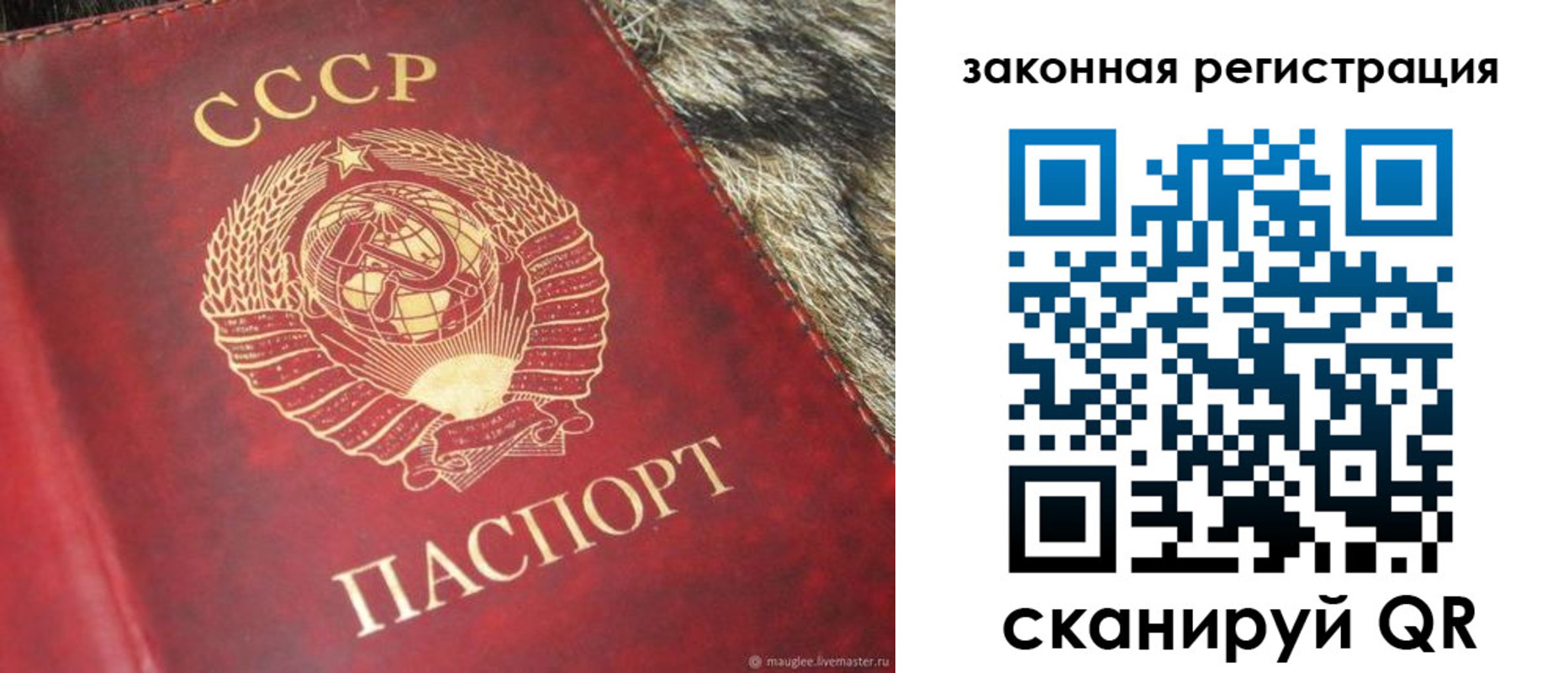 прописка от собственника в Павловске